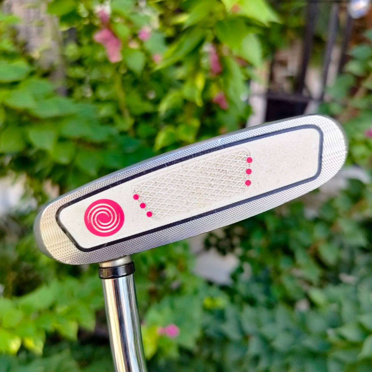 PUTTER ODYSSEY WHITE HOT XG SABERTOOTH ความยาว 34 นิ้ว กริฟ SUPER STROKE เเบบใหญ่