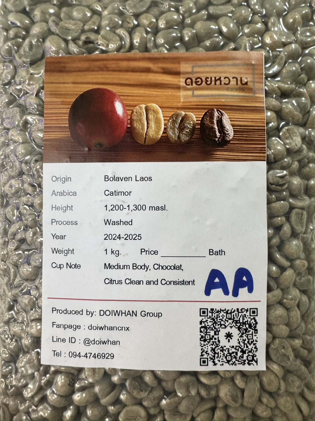 Arabica coffee beans, Bolaven, Laos