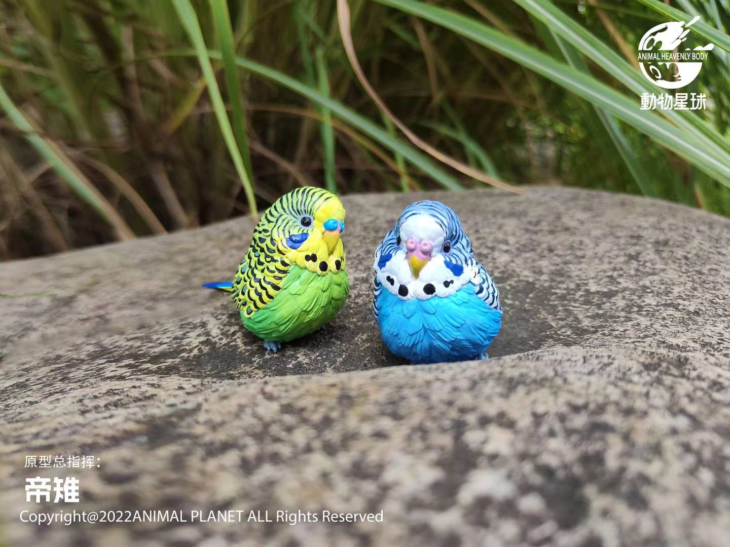 [สั่งจอง]Animal Planet : a series of laugh and grow fat No.10 -Bird