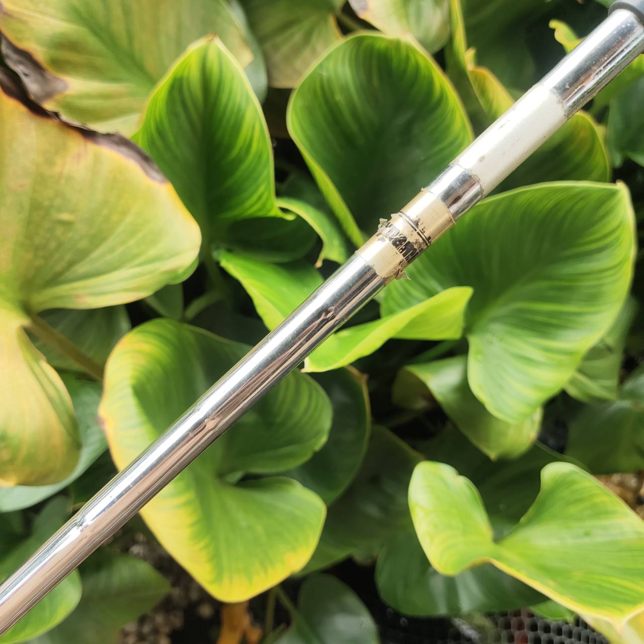 ชุดเหล็ก MIZUNO PRO MS-203 ตำนานจากญี่ปุ่น! สุดยอดเหล็ก Muscle Back ฟีลลิ่ง “Pure Forged”