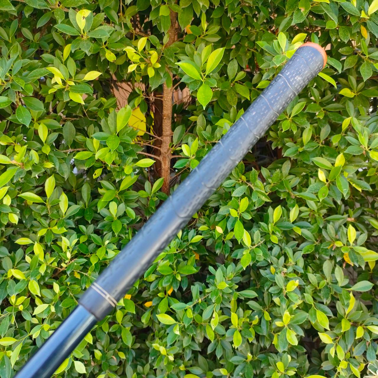 DRIVER KATANA TM300 Ti องศา 8.5 ก้าน FUJIKURA SPEEDER 569 FLEX R ไม้หน้าเด้งพรีเมี่ยมไทเทเนี่ยม หัวไม่ใหญ่ เร่งสปีดได้ดีมากๆ ก้าน FUJIKURA พรีเมี่ยมญี่ปุ่น ไม้กอล์ฟมือสอง ของแท้ BY NakaraLuxurious