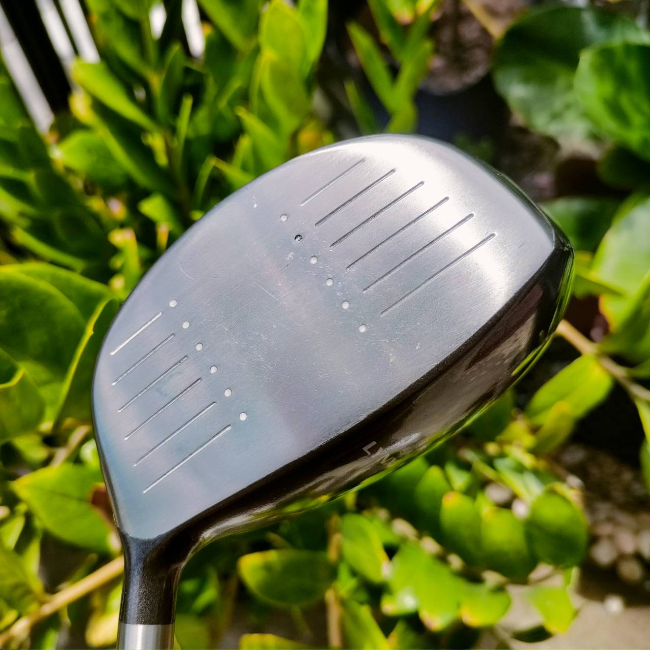 Driver LYNX SILVER CAT Ti6-4 วัสดุไทเทเนี่ยมชั้นสูง หน้าเด้งๆ หัวสี่เหลี่ยม ชดเชยความผิดพลาดสูง องศา 10.5 FLEX R ตีแบบสบายๆ ไม้กอล์ฟพรีเมี่ยมมือสอง ของแท้ By NakaraLuxurious