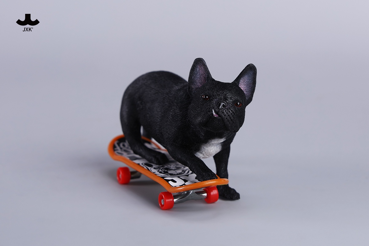 [สั่งจอง] JXK 1/6 : Skateboarding French Bulldog