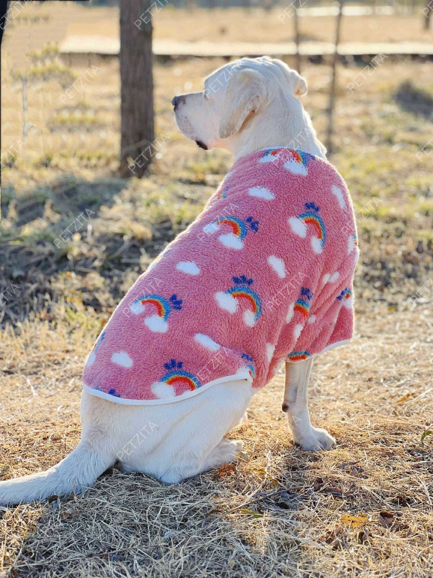 🇹🇭พร้อมส่ง🇹🇭 🐶🐕 เสื้อผ้าสำลีขนปุยนุ่มนิ่ม สำหรับ สุนัขพันธุ์กลาง ถึง หมาใหญ่