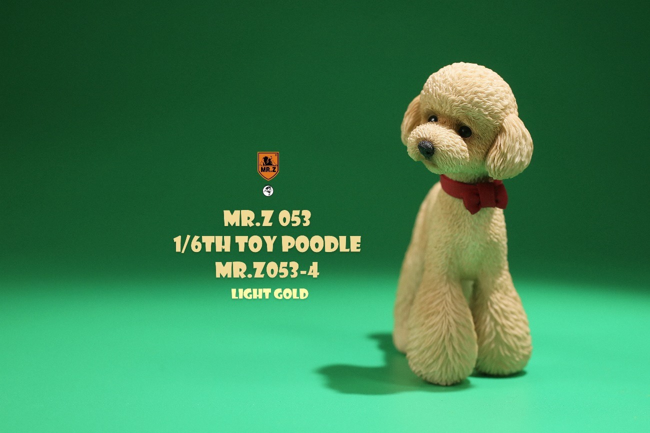 [สั่งจอง]Mr.Z MRZ053 animal model 1/6 : Toy Poodle