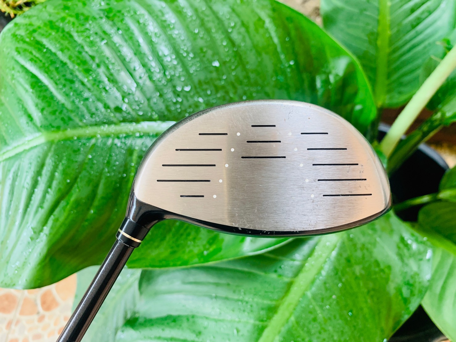 DRIVER1 CALLAWAY LEGACY