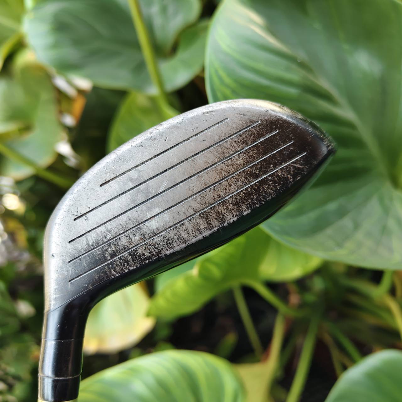 3W BBD'S 304F • Loft 15° • ก้าน DIMANA FLEX S ของดีหายาก สายตีไกลต้องมี!