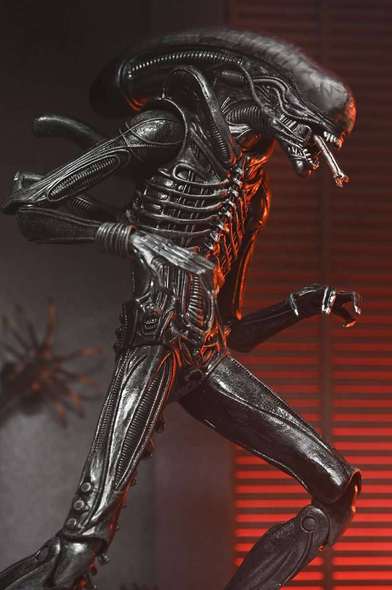 [สั่งจอง]Neca : Xenomorph XX121