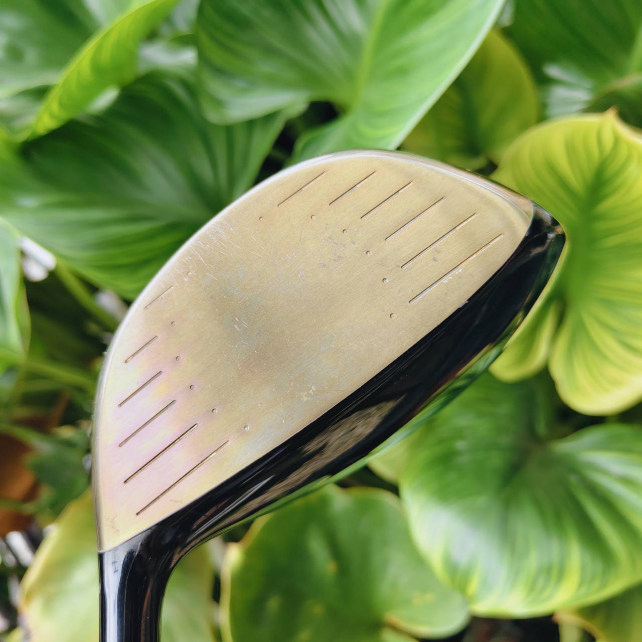 VOLTIO Premium Driver – ต้นตำหรับหน้าเด้ง ตีไกลเกินคาด! ⚡️