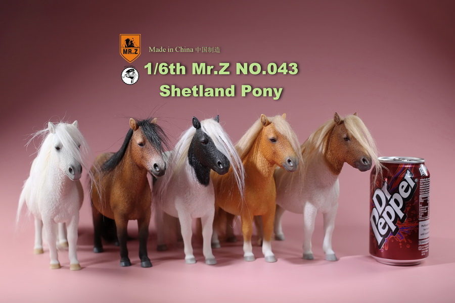 [สั่งจอง]น้องม้าน้อยโพนี่ 1/6 MR. Z Animal Model MRZ043 1/6th Shetland Pony(all 5 colors)