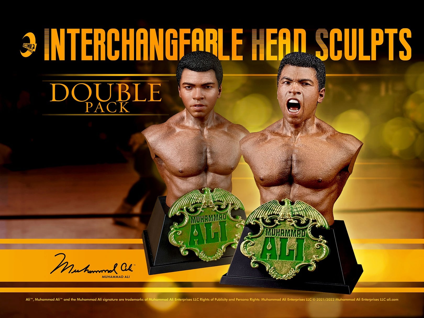 [พร้อมส่ง] Iconiq Studios 1/6 : Muhammad Ali IQLS01 มีให้เลือก 2 แบบ