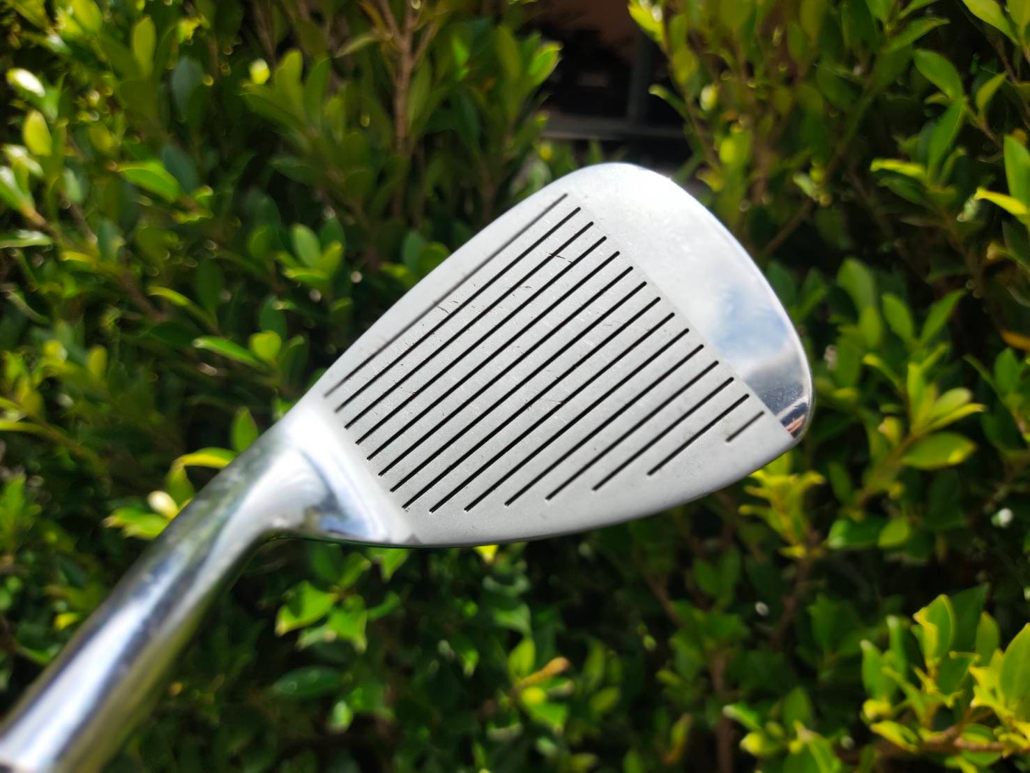 WEDGE MIZUNO PRO MS-801 เหล็ก FORGED JAPAN SW องศา 56