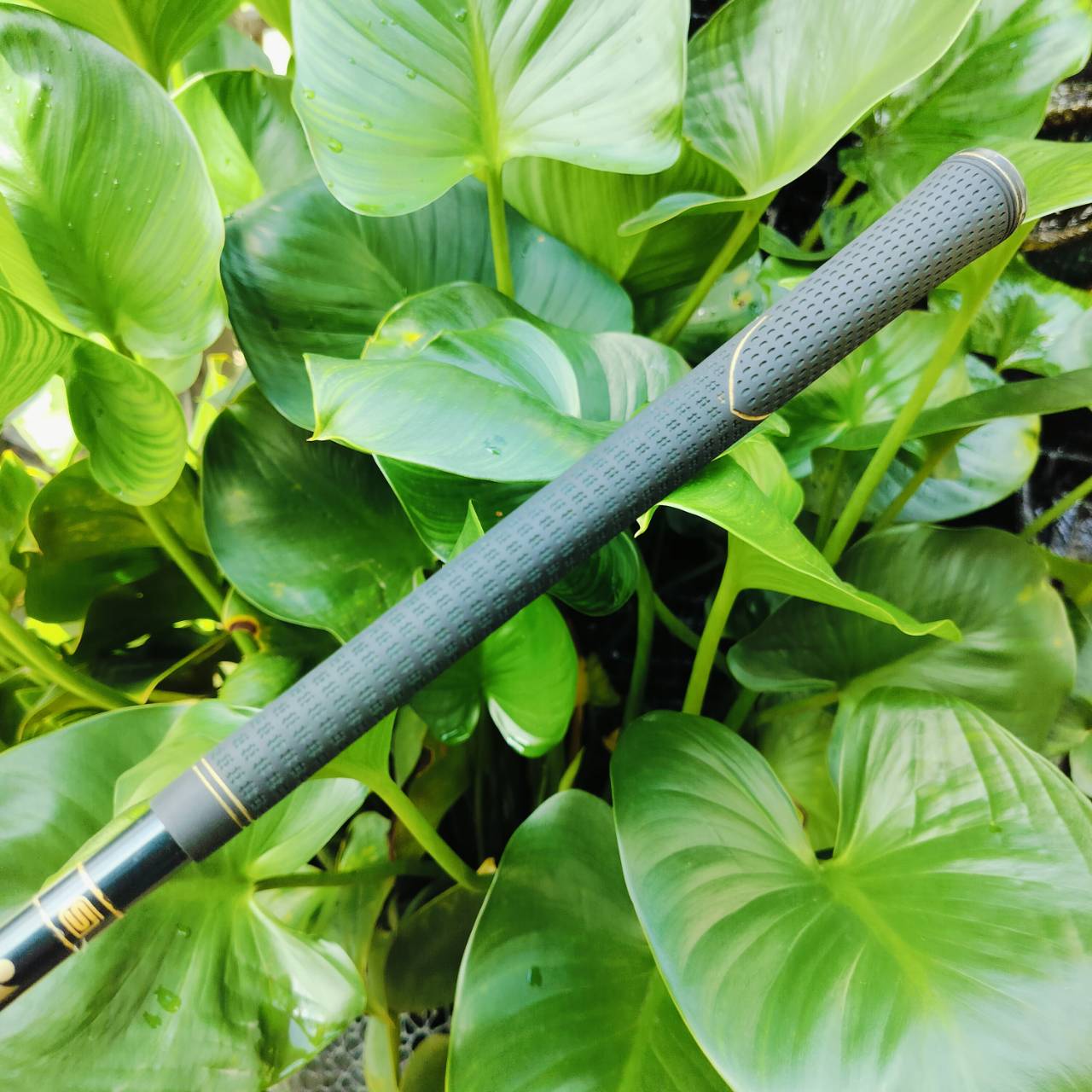 ชุดเหล็ก YONEX REKIN SUPER II ก้าน BGS 5100 FLEX R ชุดเหล็ก MADE IN JAPAN ของดี ที่ราคาเบามาก คุณภาพเกินราคา ไม้กอล์ฟพรีเมี่ยมมือสอง ของแท้ By NakaraLuxurious