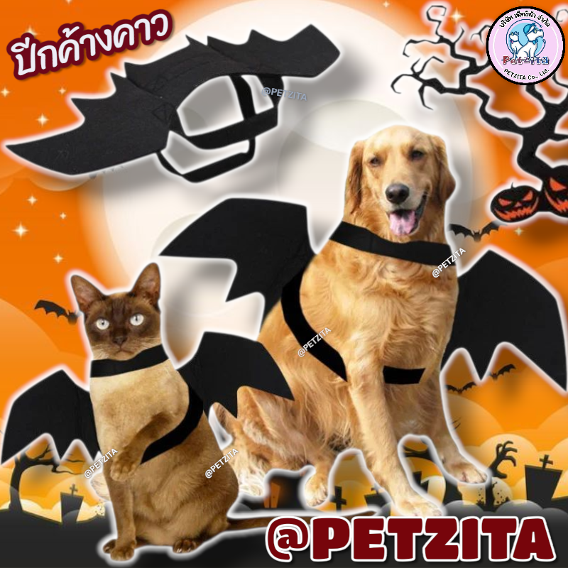 🇹🇭พร้อมส่ง🇹🇭 🦇🦇🦇🎃 ปีกค้างคาว คอสตูมคอสเพลย์สัตว์เลี้ยง ฮัลโลวีน สุนัข หมา แมว
