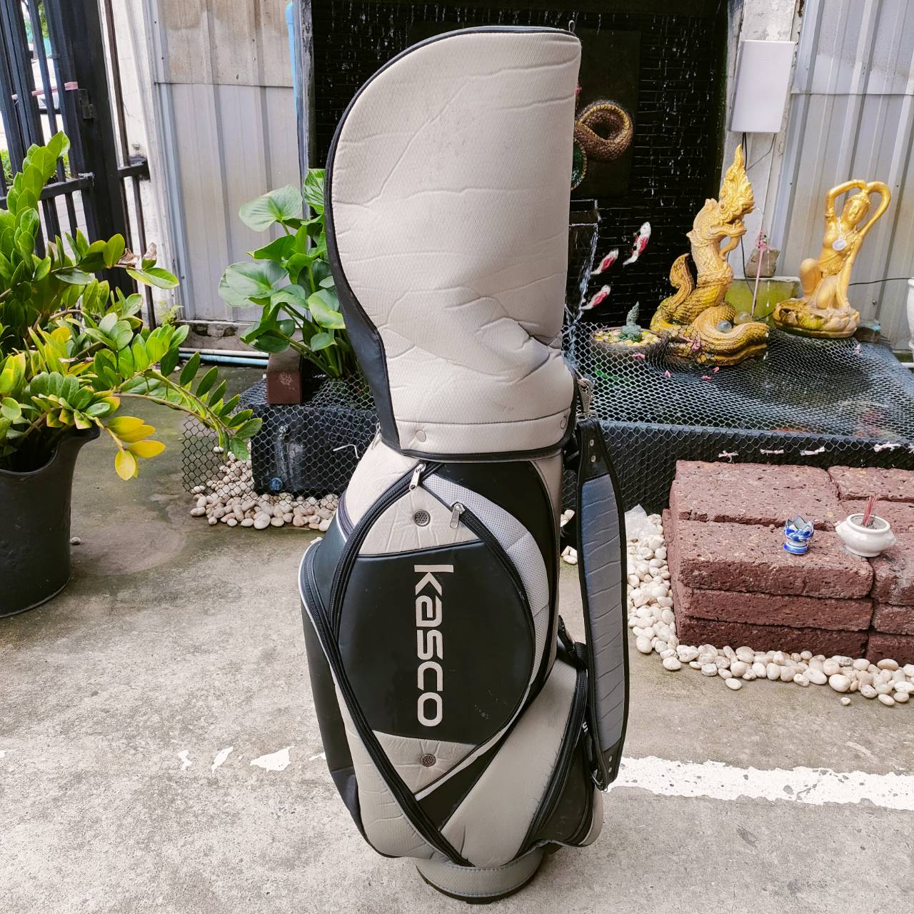 FULLSET KASCO DIMPLAS G-FOUR ชุดไม้กอล์ฟครบเซ็ตยอดนิยมสูงสุด ด้วยคุณภาพมาตรฐานสูง แบรนด์ญี่ปุ่น หัวไม้ได้ถึง 4 หัว หน้าเด้งตีไกล ไม้กอล์ฟพรีเมี่ยมมือสอง ของแท้ By NakaraLuxurious