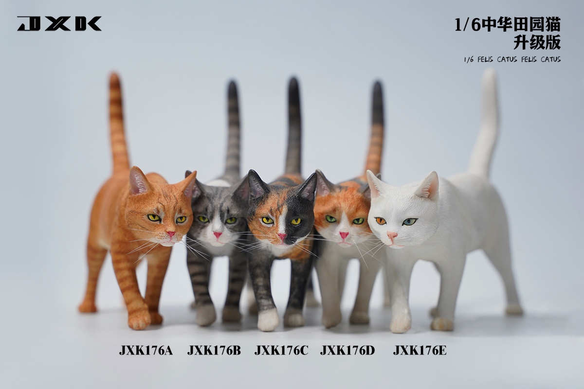 [สั่งจอง] JXK JXK176 1/6 : Felis Catus