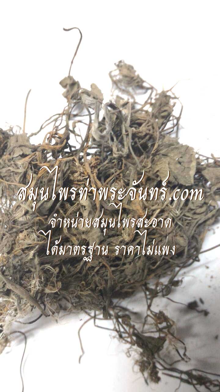 ใบบัวบกแห้ง ( 500กรัม - 1กิโล ) / ( 500g - 1kg ) สมุนไพรท่าพระจันทร์