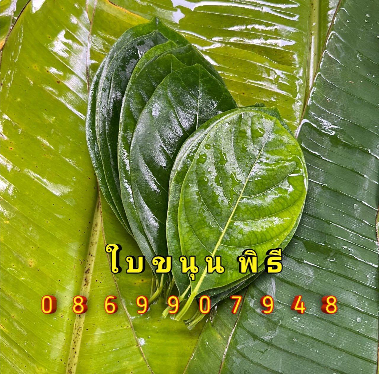 ใบไม้มงคล (พิธี)