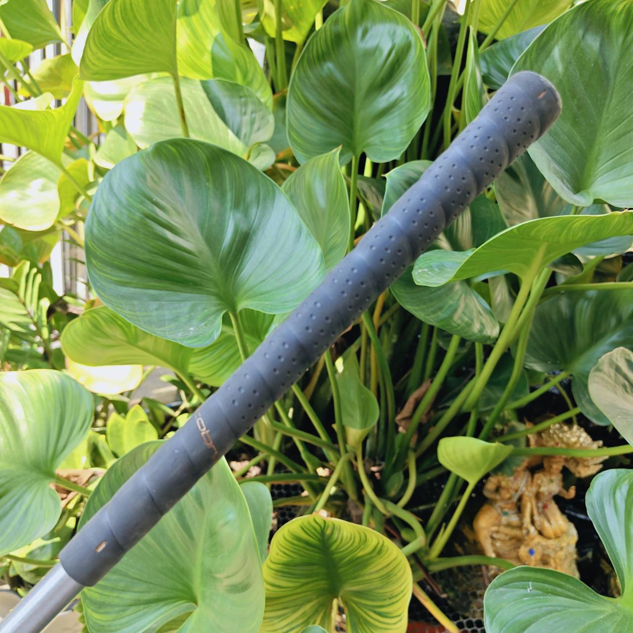 ชุดเหล็ก KING COBRA OVERSIZE ⛳ ครบเซตตีง่าย ฟีลนุ่ม เหมาะทั้งมือใหม่และผู้เล่นที่ต้องการความมั่นใจ!