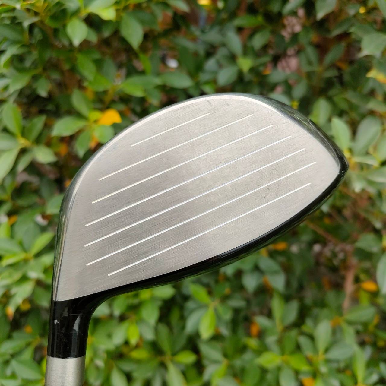 DRIVER HONMA TOUR WORLD TW737 455 องศา 10.5 ก้าน HONMA VIZARD EX-C55 FLEX SR สภาพสวยมาก เดิมๆ ตีมันส์ ตีไกลมากๆ