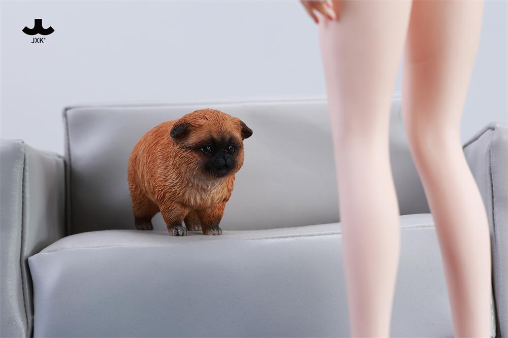 [สั่งจอง] JXK JXK271 1/6 : Dada the Yellow Pomerania