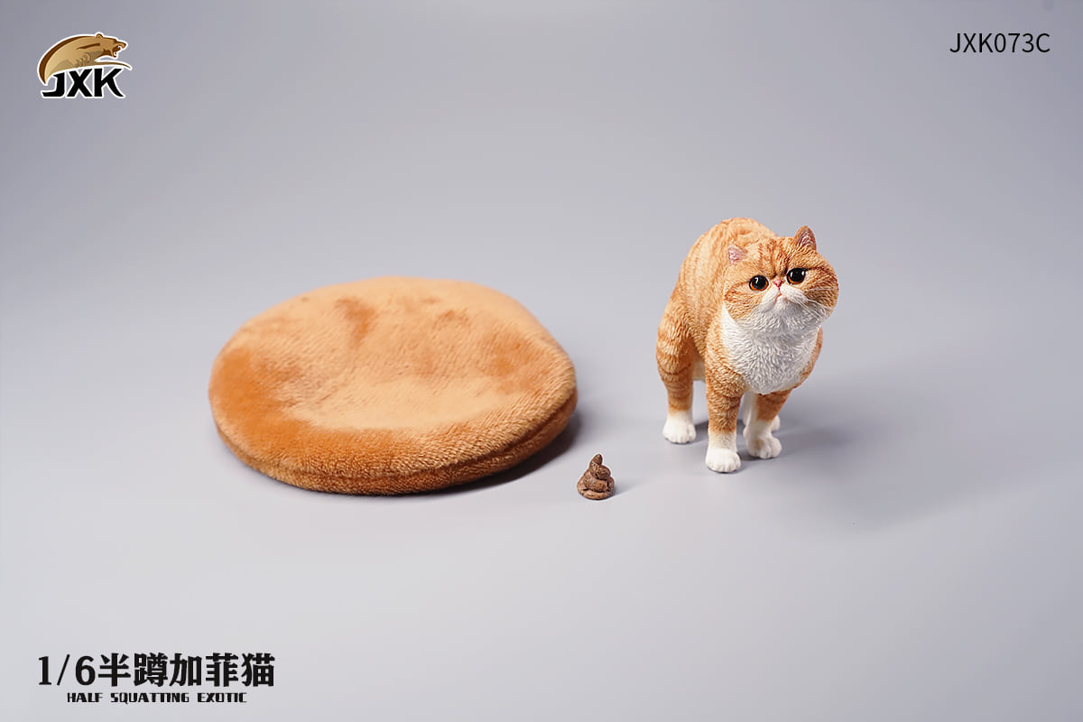 [สั่งจอง]JXK JXK073 ABCD 1/6 : Half squatting ExoticShorthair