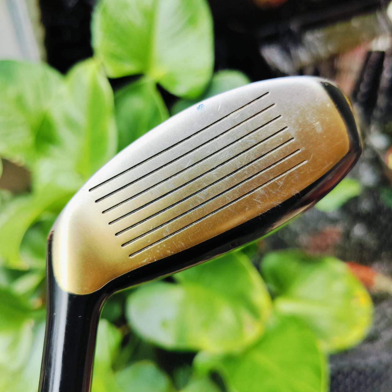 UT Dunlop Aerogel 4D Ultimate องศา 24 ตีดีมากๆๆ ก้านพรีเมี่ยม NANO TEC FLEX R ก้านดีมากจริงๆ ไม้กอล์ฟพรีเมี่ยมญี่ปุ่นมือสอง ของแท้ By NakaraLuxurious