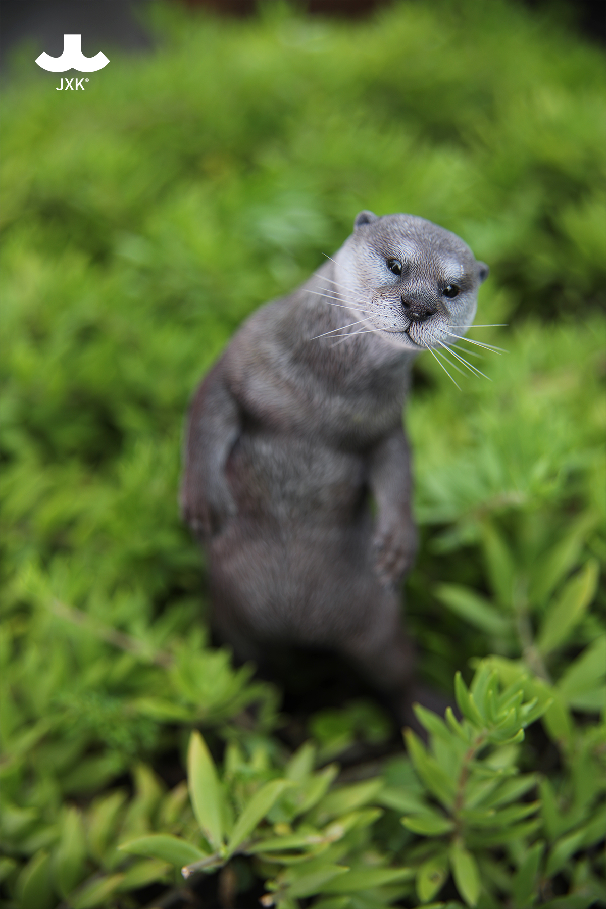 [สั่งจอง] JXK 1/6