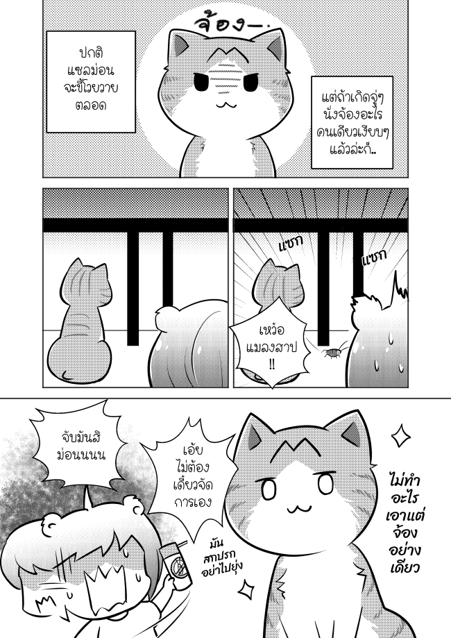 นักวาดการ์ตูนของแมว 2024