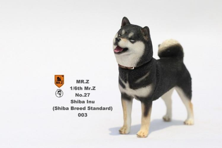 [สั่งจอง]Mr.Z MRZ027 SL001-SL005 1/6 Shiba Inu
