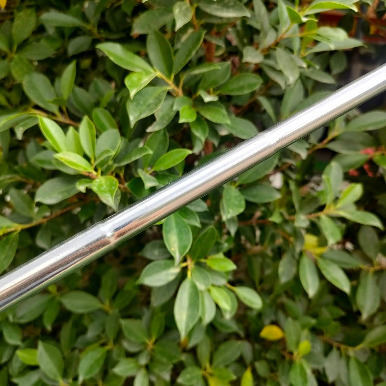 PW 956 GL GOLDEN LADDIE FLEX WEDGE องศา 48