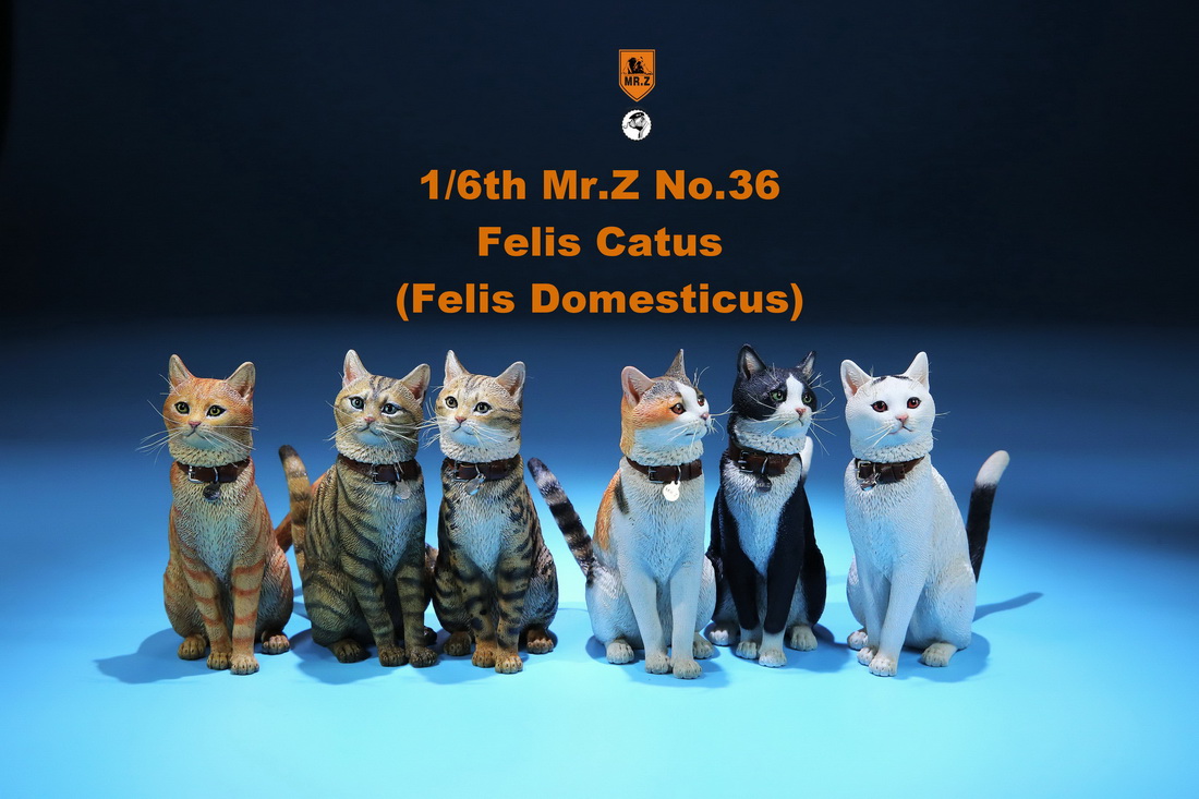 [สั่งจอง] Mr. Z Animal Model No.36: 1/6 Figure Felis Catus