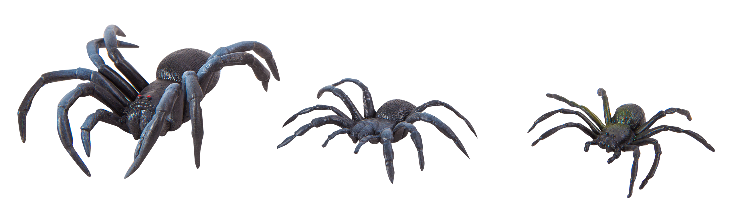 แมลงจำลอง (ชุดเล็ก), ของเล่นเสริมพัฒนาการ, ของเล่นเด็กอนุบาล, สื่อการสอน