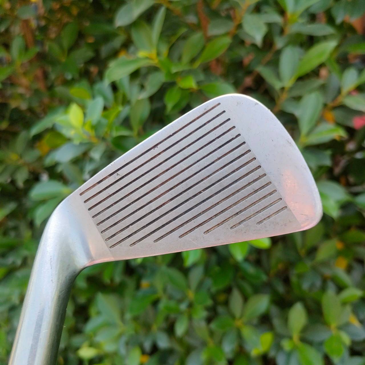 ชุดเหล็ก CONTIDENCE SS CUSTOM มีเหล็ก 4-9 ** ขาดเหล็ก 7 ** ก้าน NFIDE FLEX R ใบทรงตีง่าย สภาพเดิมทั้งชุด