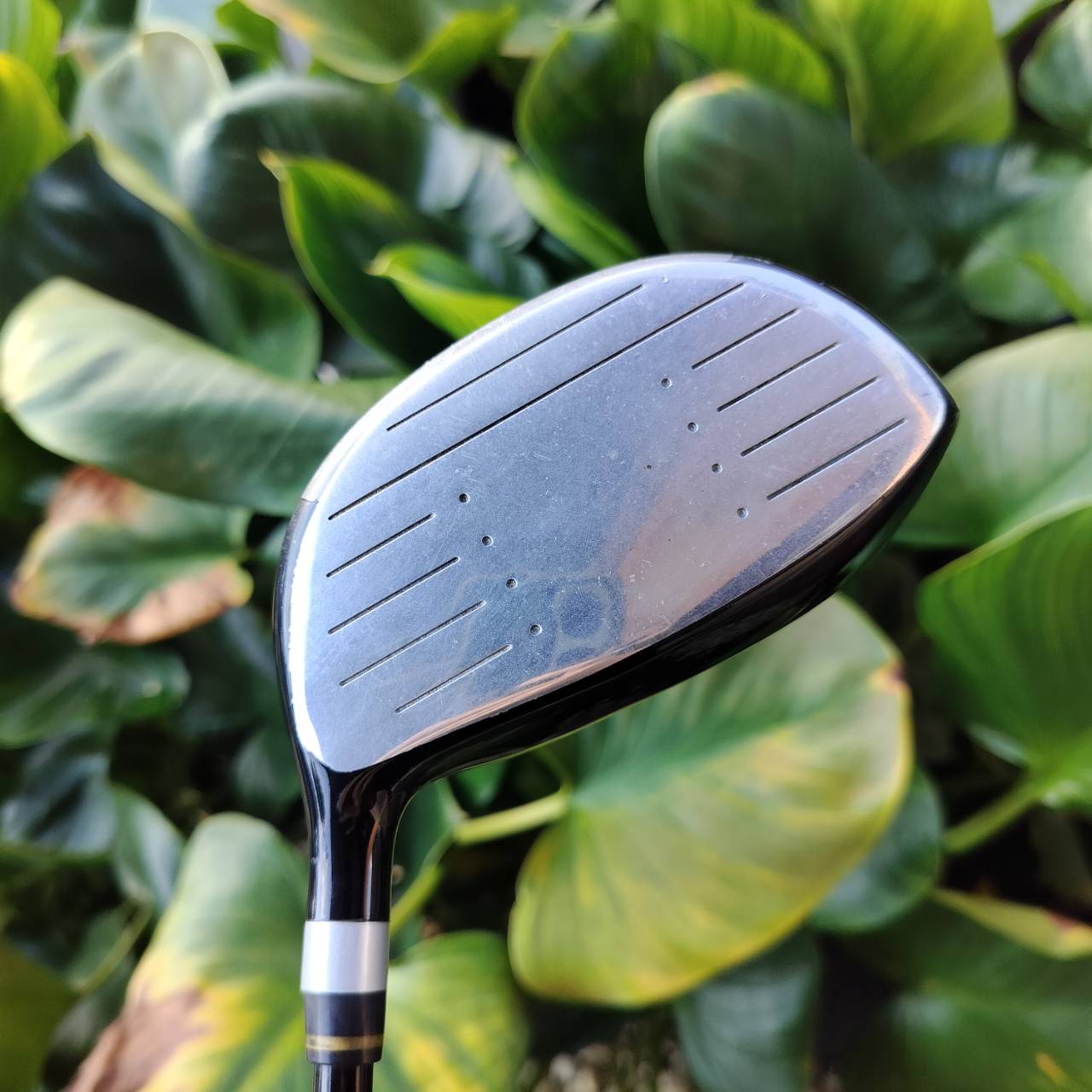 ไม้กอล์ฟครบชุด PRO KENNEX GRAND CANYON สภาพสวยงาม ให้ไม้มาได้ครบเครื่องมากๆ ดีทุกไม้ ถุงกอล์ฟ PROKENNEX เดิมตรงรุ่น และมี COVER ให้ครบทั้งชุดค่ะ ไม้กอล์ฟพรีเมี่ยมมือสอง ของแท้ By NakaraLuxurious