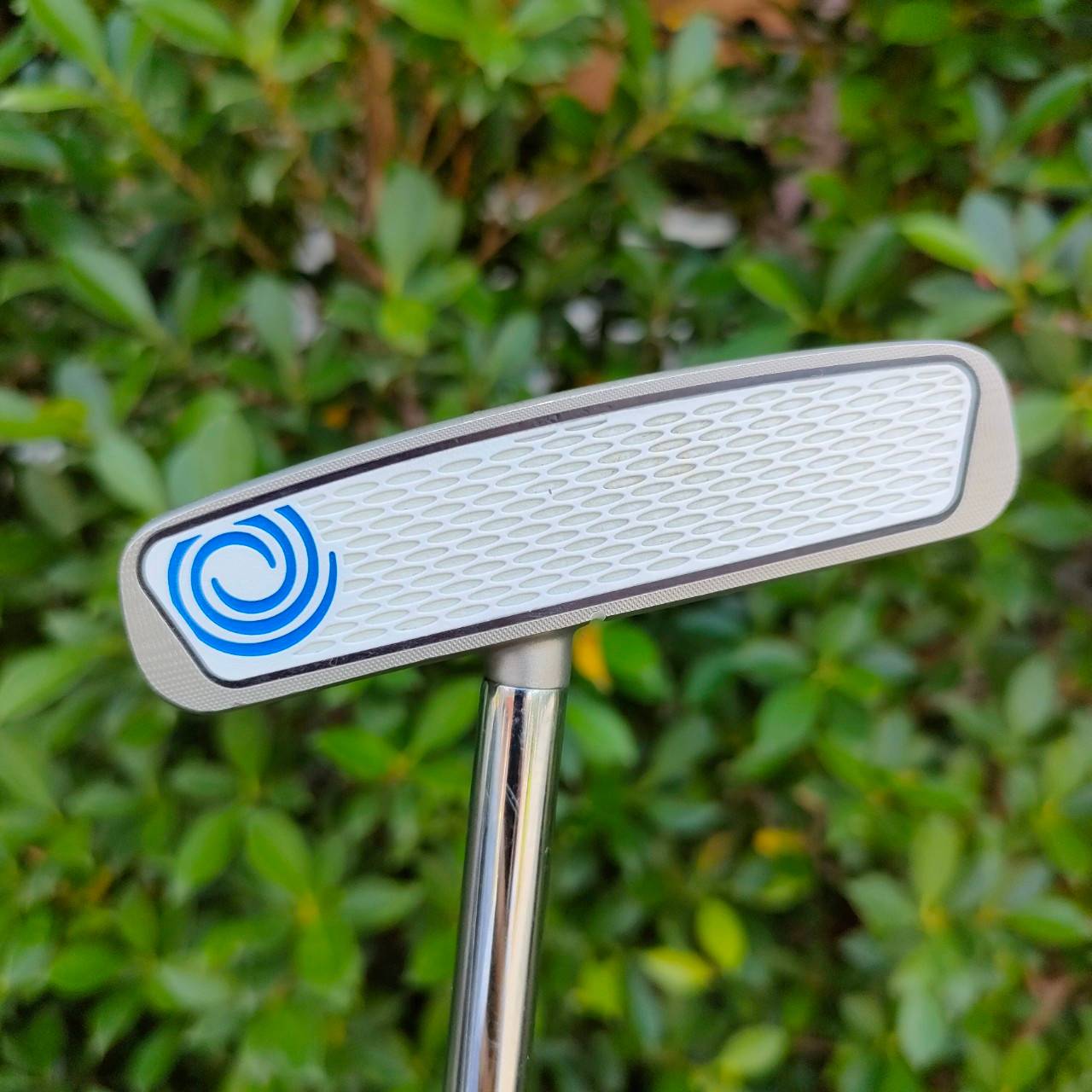 PUTTER ODYSSEY WHITE HOT RX V-LINE FANG CS ก้าน ODYSSEY PUTTER IN GOLF ความยาว 34 นิ้ว