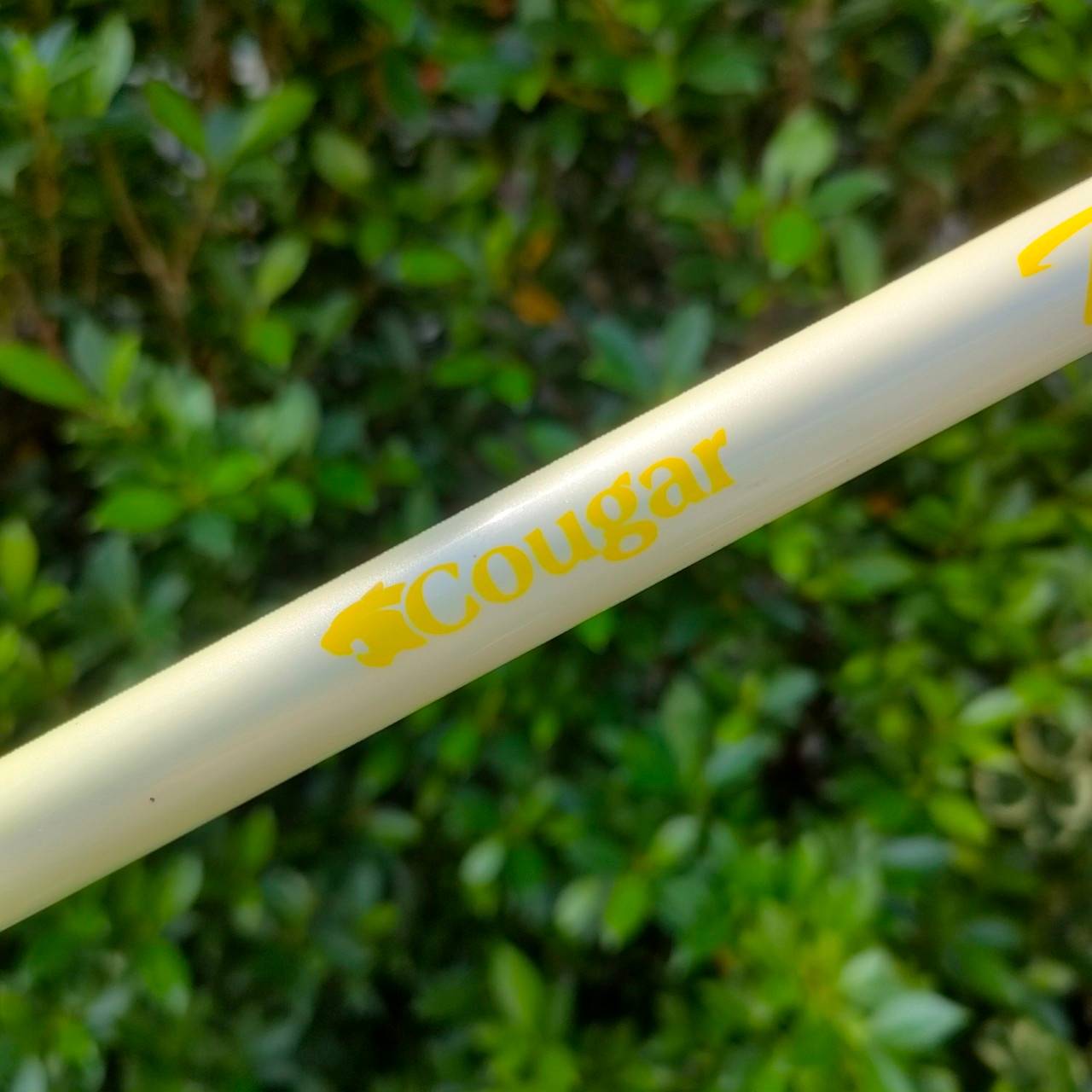 HYBRID 4/5 COUGAR TI CAT3 OVERSIZE LADY สุภาพสตรี ก้าน COUGAR TI CAT3 FLEX L เน้นเบาๆ ตีง่ายๆ แทนเหล็กยาวครับ