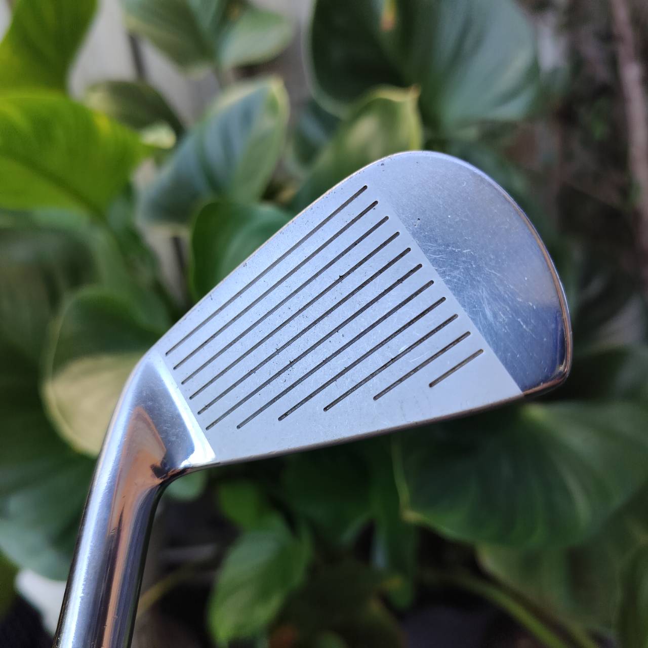 เหล็ก 3 Titleist 690MB FORGED ก้าน DYNAMIC GOLD R300 ก้านดีมาก เข้ากับหัวได้ดีมาก ตีแทง พันช์ๆ เหล็ก FORGED ระดับพรีเมี่ยม ไม้กอล์ฟพรีเมี่ยมมือสอง ของแท้ By NakaraLuxurious