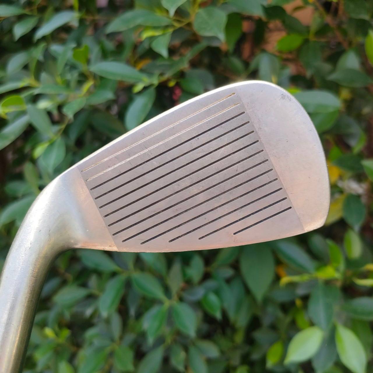 ชุดเหล็ก CARIYFIELD GOLF PLANNER มีเหล็ก 4-9 เเละ PW ก้าน EXSILT FIRE FLEX SR