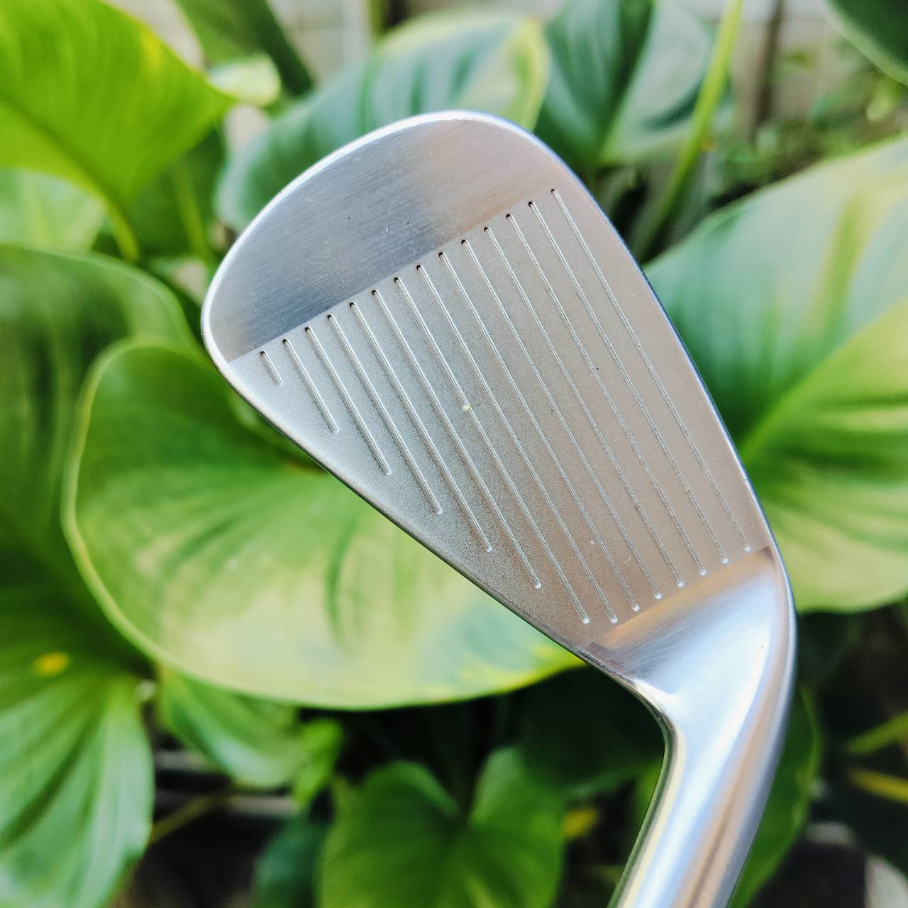 ** ไม้กอล์ฟมือซ้าย ** สวยมาก ชุดเหล็ก TAYLORMADE r7 TP มีเหล็ก 3-9 เเละ PW ครบค่ะ ก้าน NS PRO 950 FLEX R สติ๊กเกอร์ TP สวยครบชุดเลยค่ะ ไม้กอล์ฟพรีเมี่ยมมือสอง ของแท้ By NakaraLuxurious