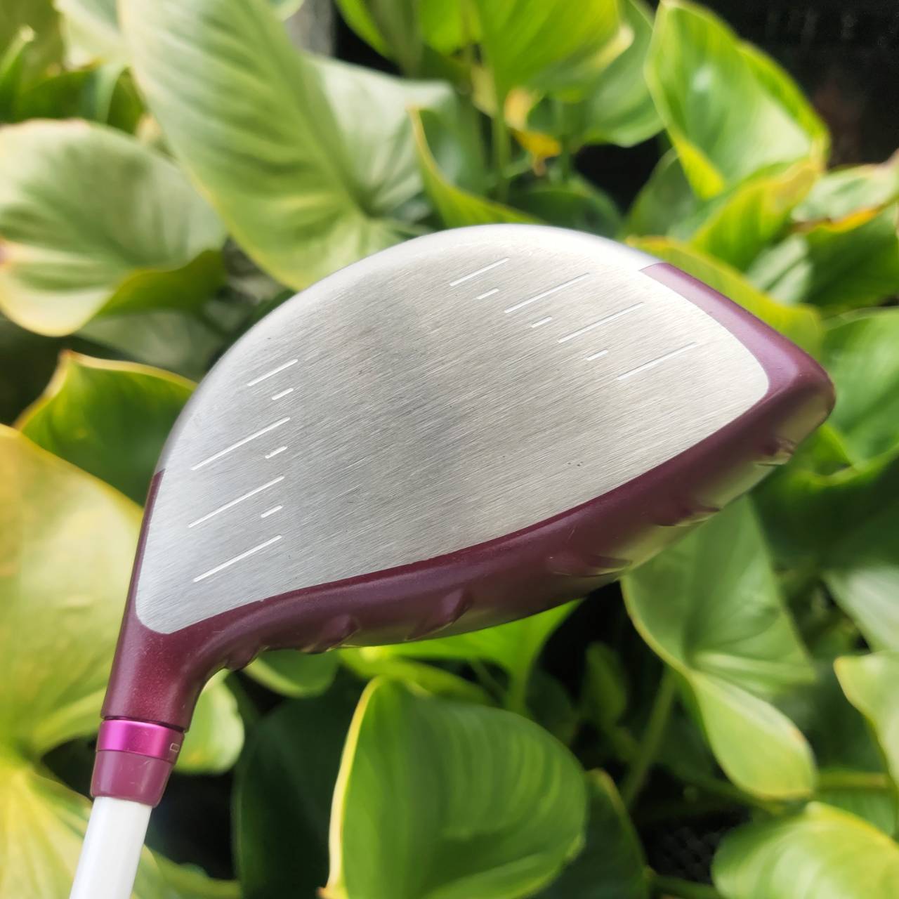 DRIVER PING GLe2 Lady ออกแบบและเพิ่มเทคโนโลยีที่ทันสมัย เพื่อตอบสนองท่านนักกอล์ฟสุภาพสตรี