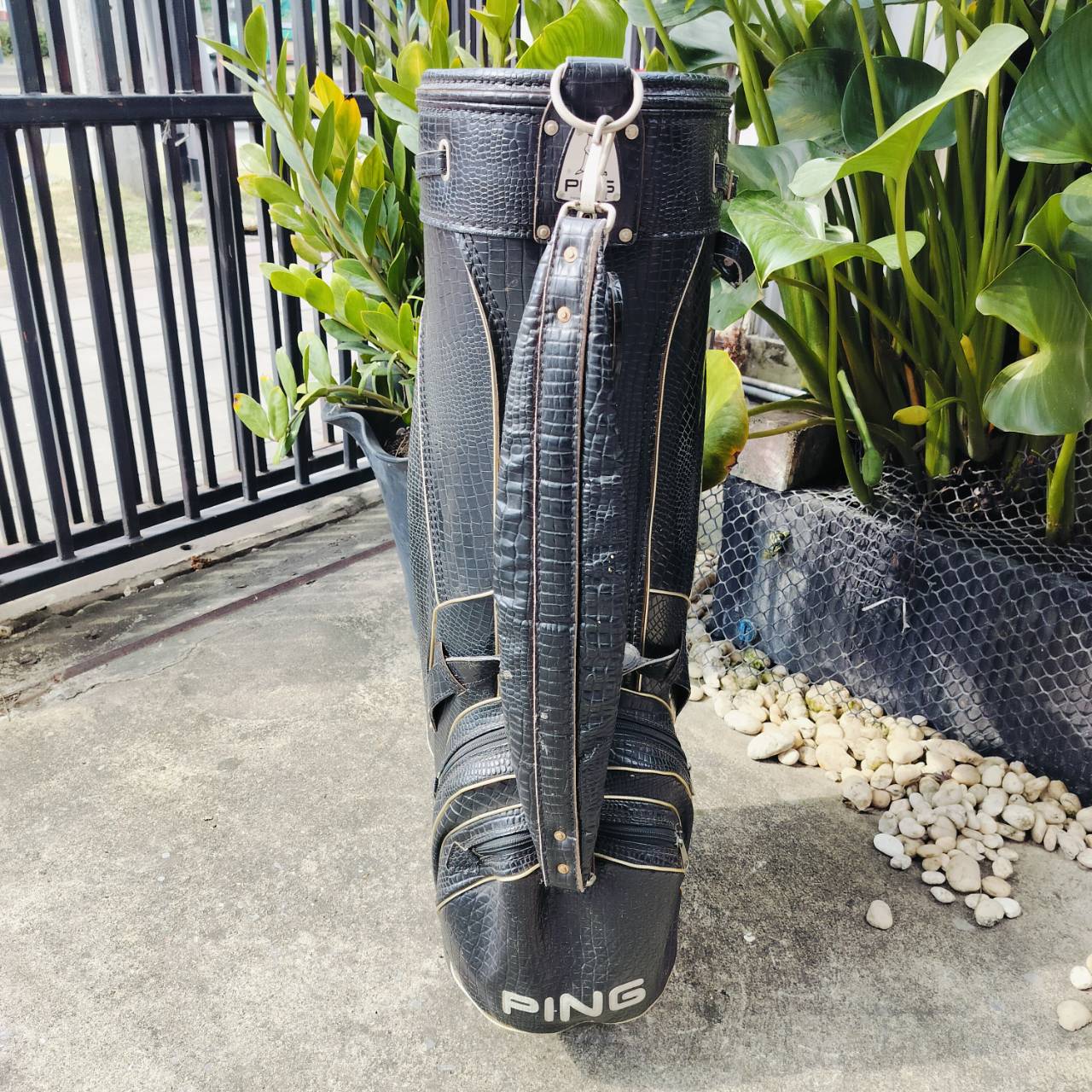 ถุงกอล์ฟ PING หนังเอลิเกเตอร์แท้ สุดวินเทจ สภาพสวยมากๆ หายากมาก