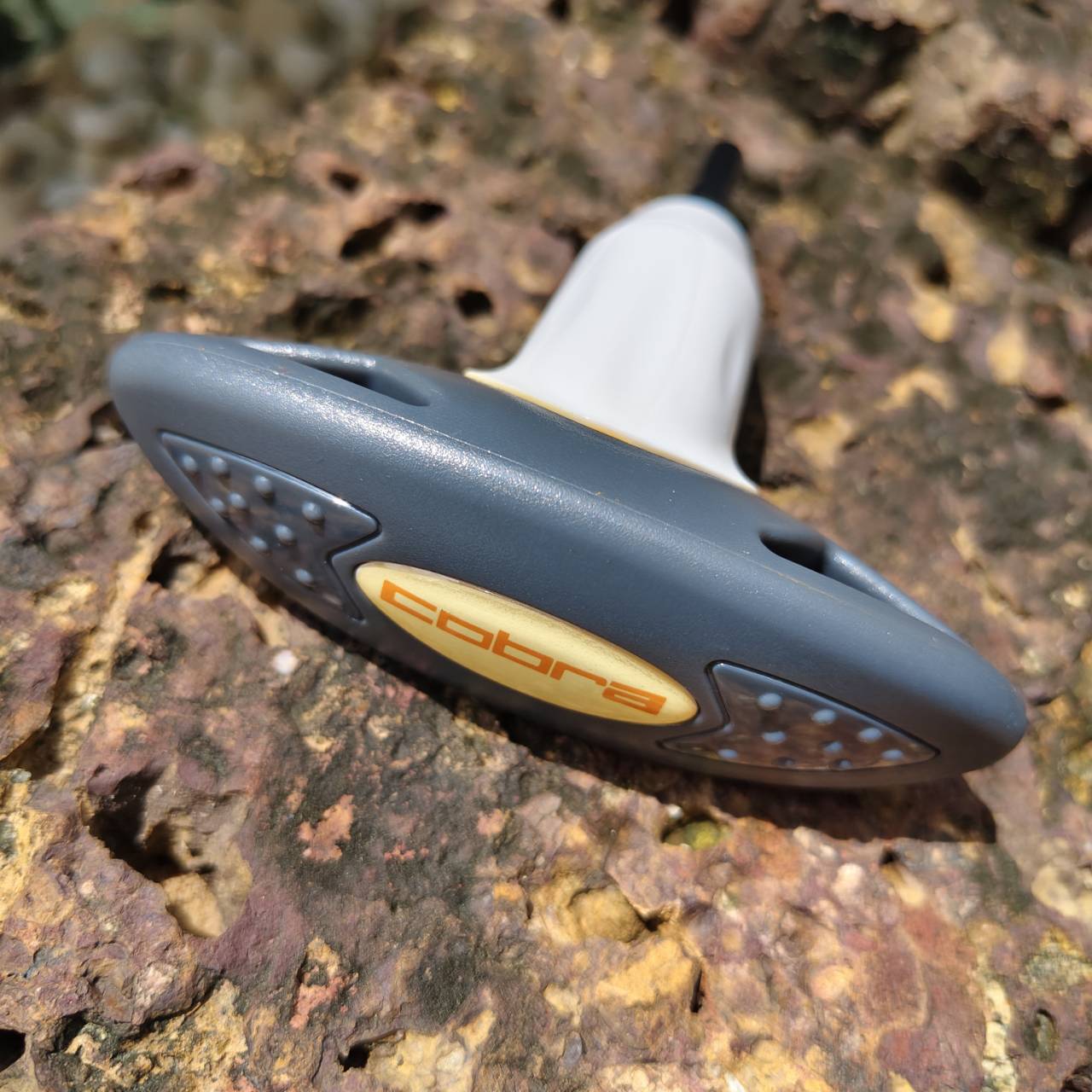 Driver COBRA BIO CELL มันส์มาก!!! SMART PRO FLEX R พร้อมที่ไข!!