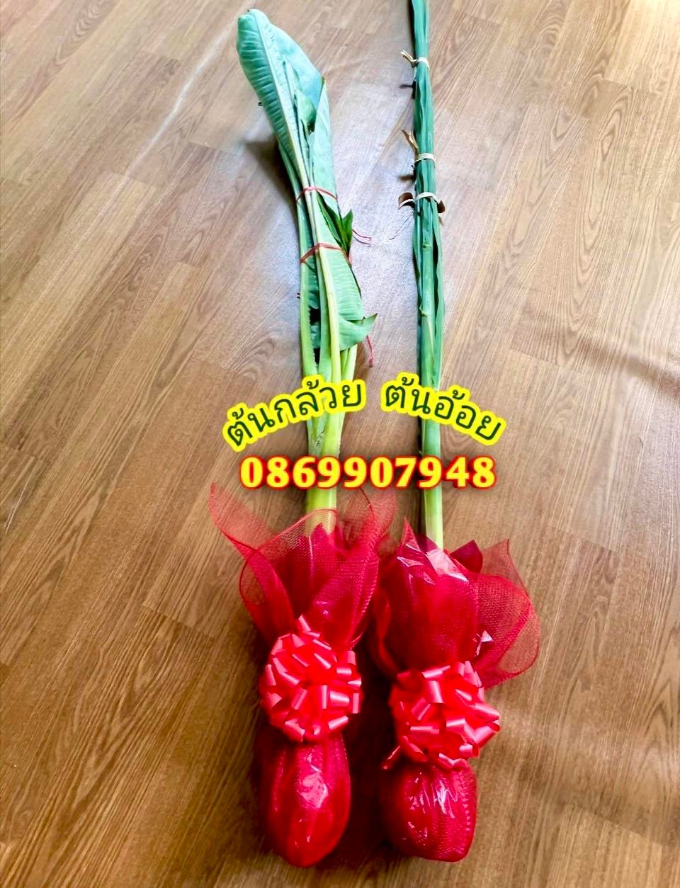 ต้นอ้อย ต้นกล้วย (ขันหมาก) (ทรงเครื่อง)