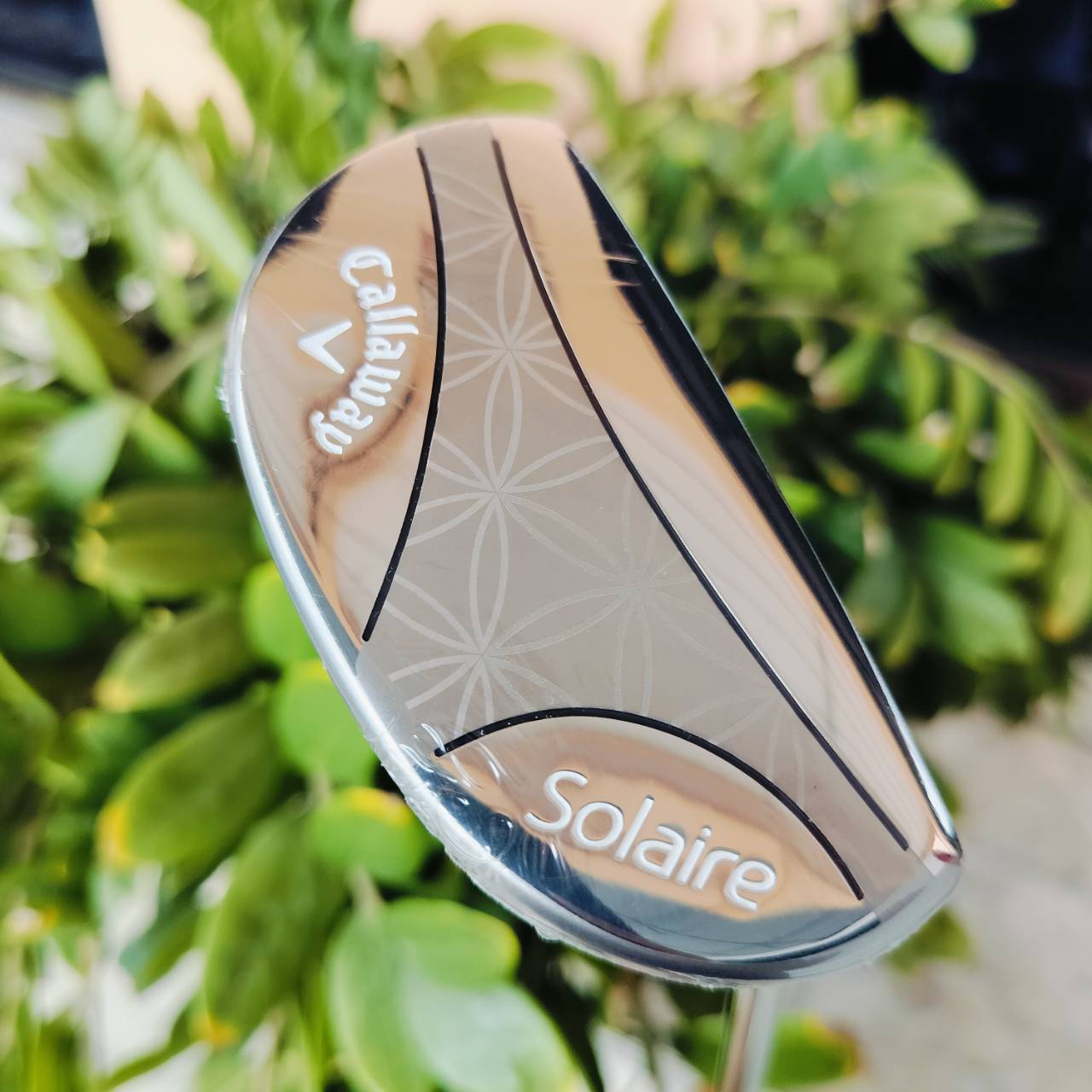 * ไม้กอล์ฟผู้หญิง * ชุดกอล์ฟ Callaway Solaire สภาพสวยนางฟ้า 95% ได้ค่ะ Driver และอีกหลายไม้ยังไม่แกะ ราคาติดอยู่ 33,500 บาท ไม้กอล์ฟพรีเมี่ยมมือสอง ของแท้ By NakaraLuxurious