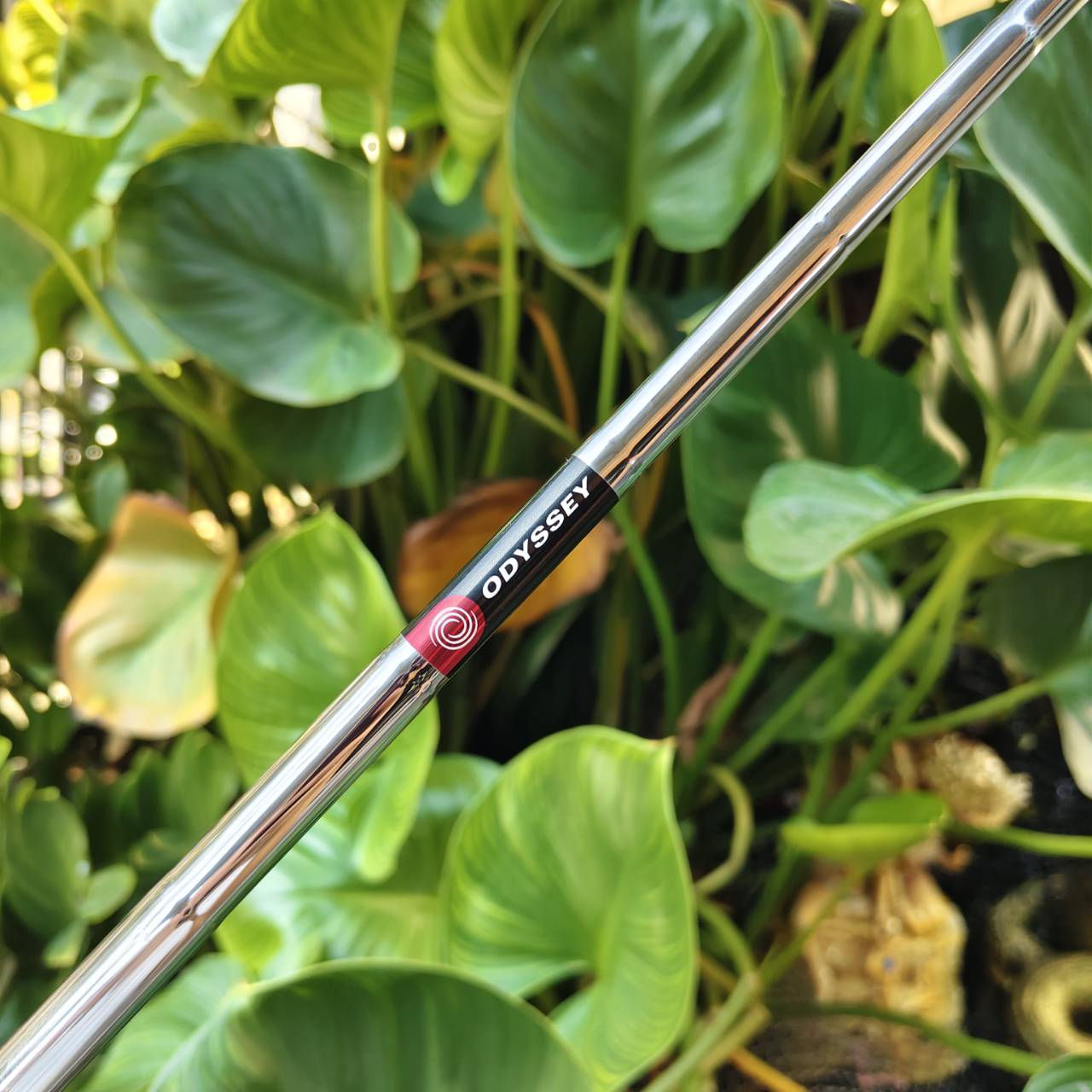 PUTTER ODYSSEY O-WORKS #7 33 นิ้ว ⛳ ทรง #7 ยอดนิยม จรดง่าย เหวี่ยงนิ่ง ช่วยให้พัตต์มั่นใจกว่าเดิม!