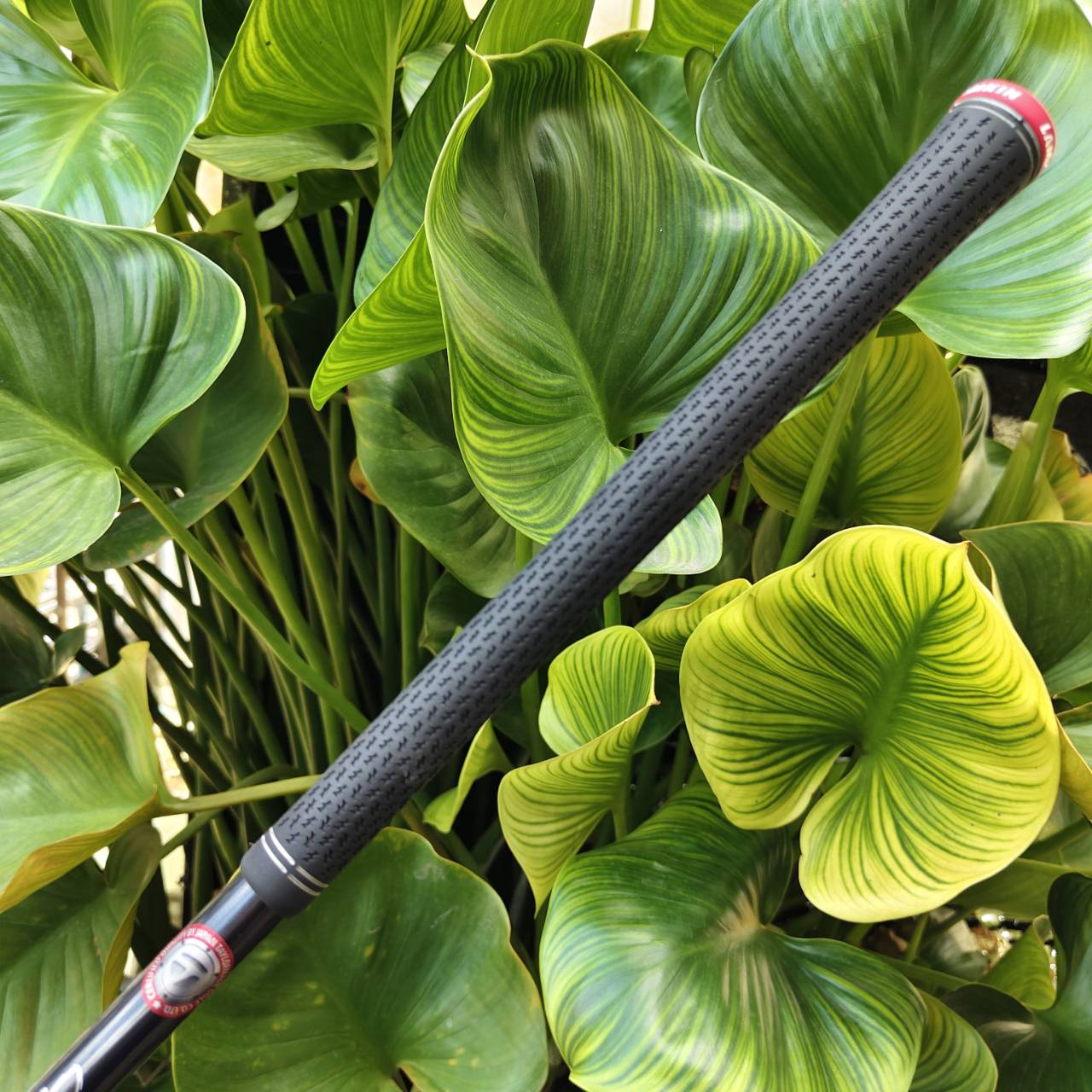 TAYLORMADE STEALTH 2 PLUS+ จุดเปลี่ยนของยุค Carbonwood™ ทั้ง Far และ Forgiveness ในหัวเดียว!