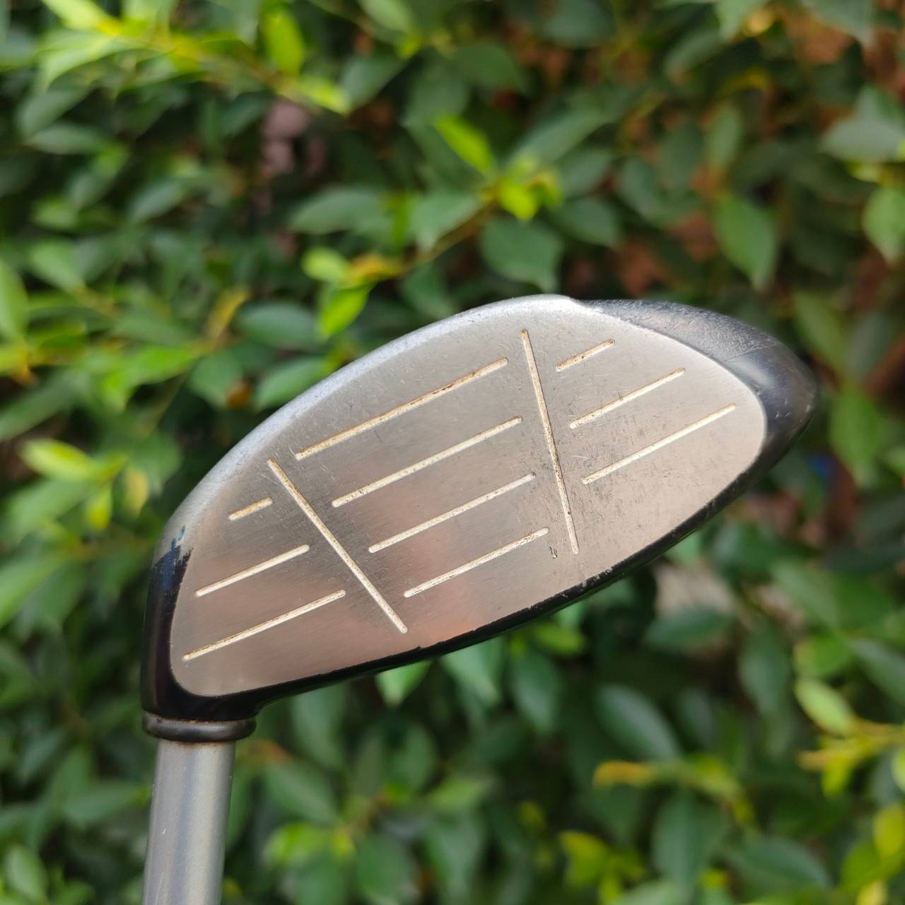 FW7 CALLAWAY BIG BERTHA STEELHEAD PLUS ก้าน STEELHEAD PLUS FLEX R ใช้แทนเหล็กยาวได้เลย