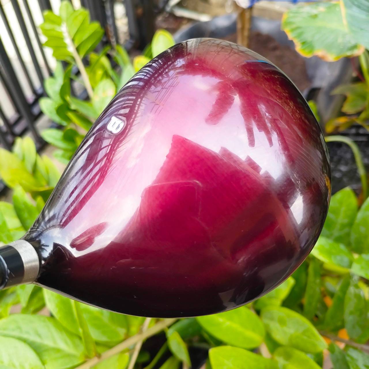 DRIVER WILSON DEEPRED DISTANCE องศา 10.5 ก้าน PROLITE+ FLEX R หน้าสัมผัสกว้าง ตีง่ายมากๆ ก้านเบา เร่งสปีดได้ดีมาก ไม้กอล์ฟมือสอง ของแท้ BY NakaraLuxurious