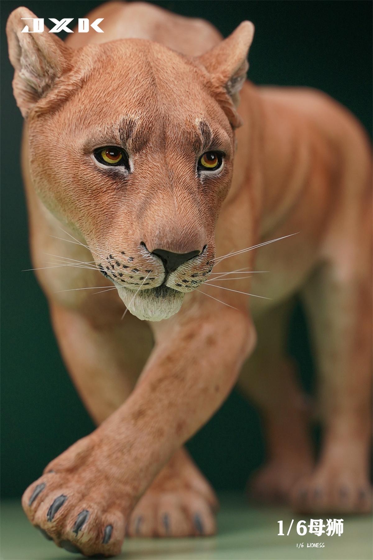 [สั่งจอง] JXK JXK154 1/6 : Lioness